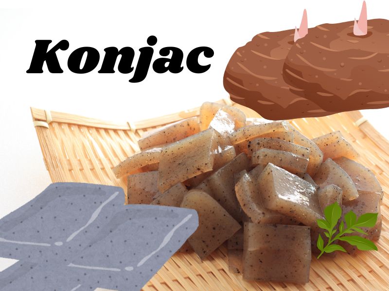 konjac plant konjac plant